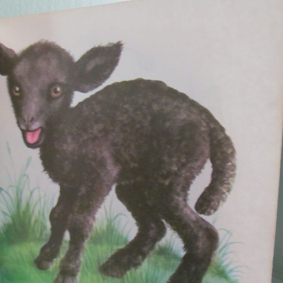 Vintage 1977 Little Golden Book Baby Farm Animals Hardcover by Garth Williams - Picture 9 of 10